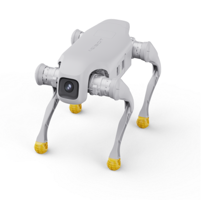 RoboDog 对战